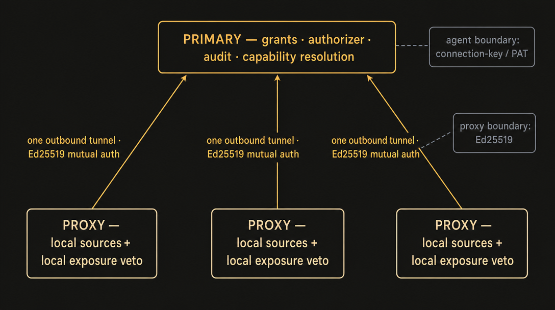 The federated mesh — proxies each tunnel up to one primary